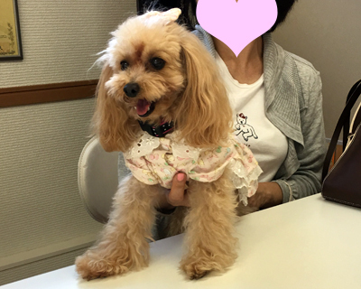 2018091501.jpg