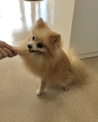 2018091504.jpg