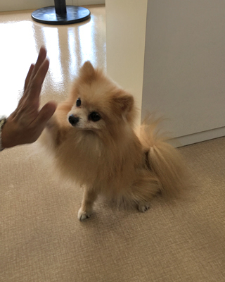 2018091505.jpg