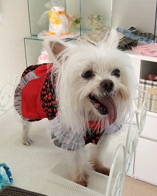 2018091601.jpg