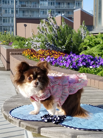 2019050905.jpg