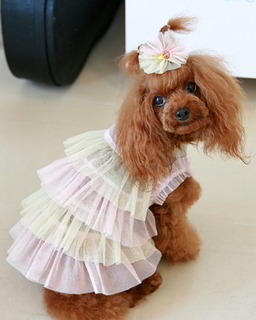 2010070308-thumbnail2.jpg