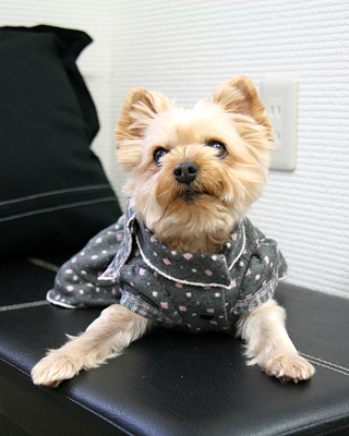 2013021203-59dfc.jpg