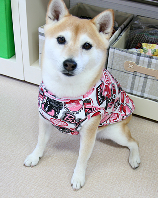 2015071002.jpg