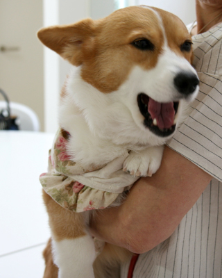 2015071102.jpg