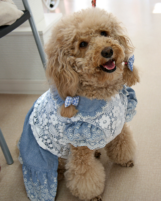 2015071705.jpg
