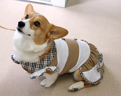 2015072502.jpg