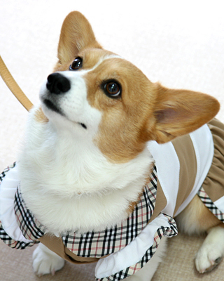 2015072503.jpg