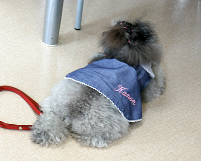 2015072601.jpg