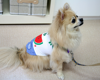 2015072904.jpg