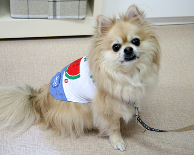 2015072905.jpg