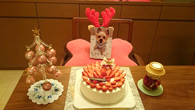 2016010502.jpg