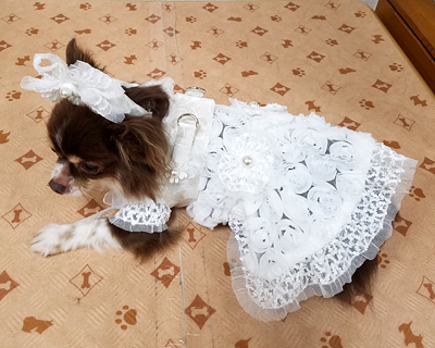 2017022302.jpg