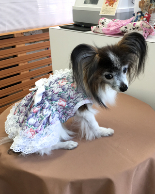 2019062506.jpg