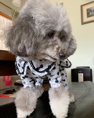 2019062902.jpg