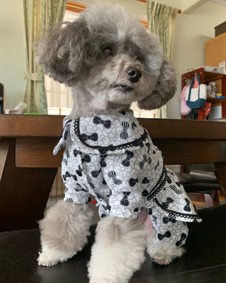 2019062903.jpg