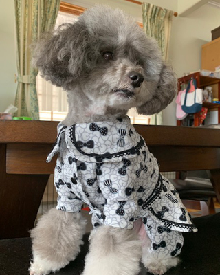 2019062904.jpg