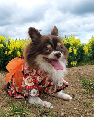 2019071003.jpg