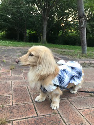 2019071403.jpg