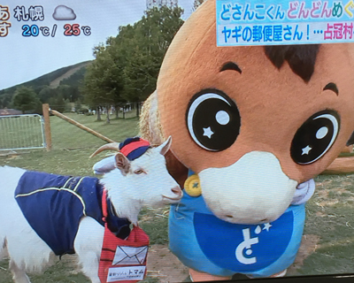 2019071902.jpg