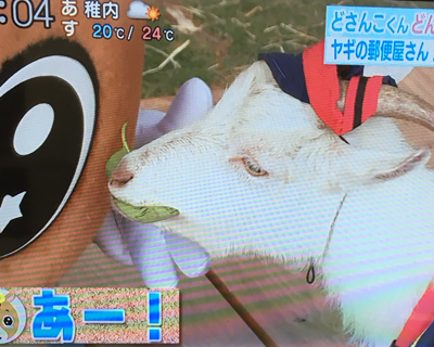 2019071906.jpg