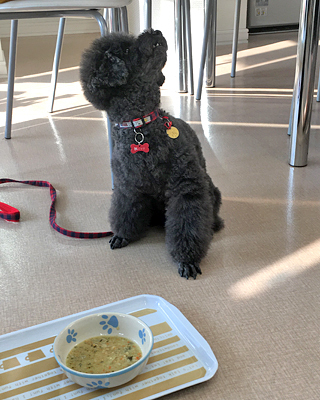 2019080803.jpg