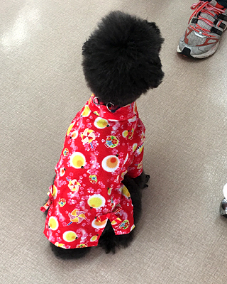 2019080905.jpg