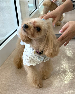 2019083103.jpg