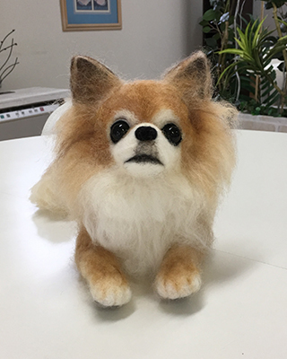 2019110204.jpg