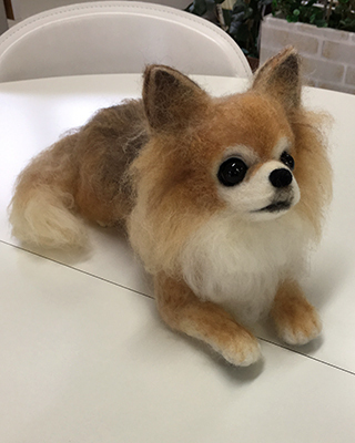 2019110205.jpg