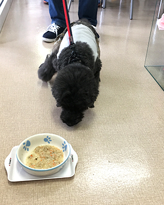 2019110702.jpg