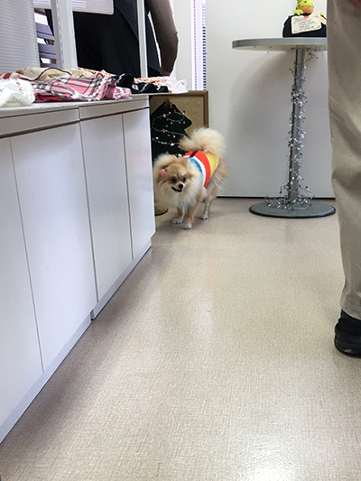 20201026a.jpg