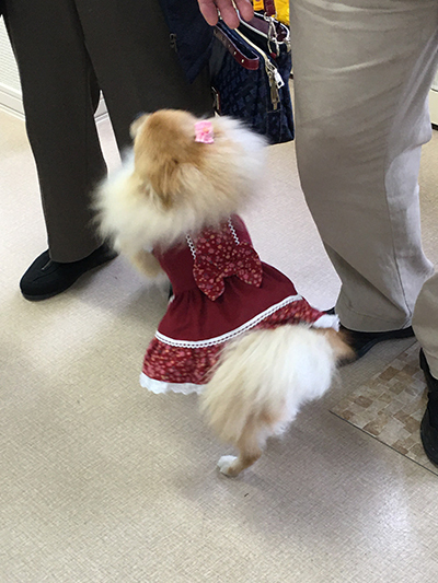20201027e.jpg