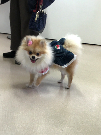 20201028d.jpg