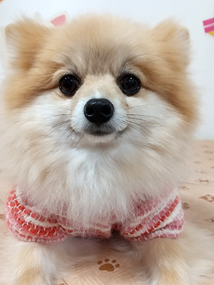 2020122505.jpg