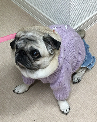 2020123103.jpg