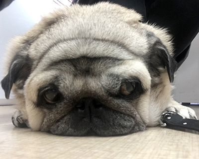 あいす2019122801.jpg
