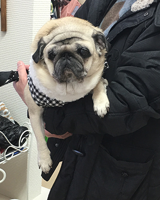 あいす2019122803.jpg