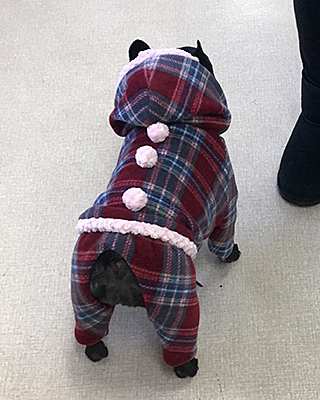 さくら (7).jpg