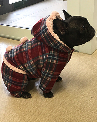 さくら (8).jpg