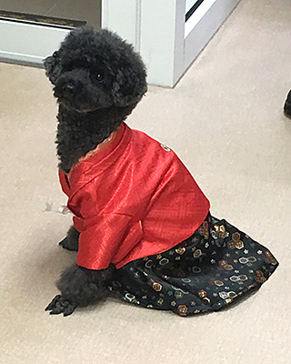 じゃび (1).jpg