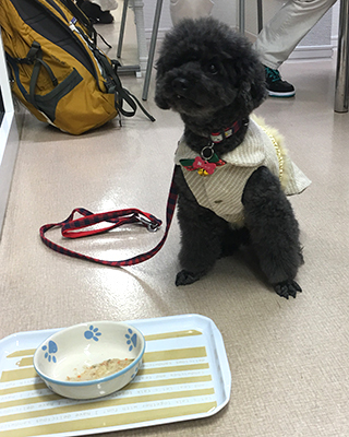 じゃび (4).jpg