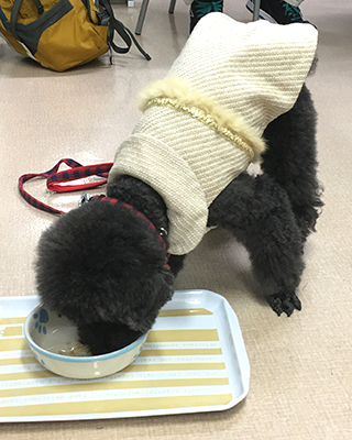 じゃび (6).jpg