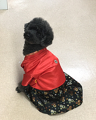 じゃび (8).jpg