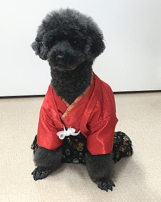 じゃび (9).jpg